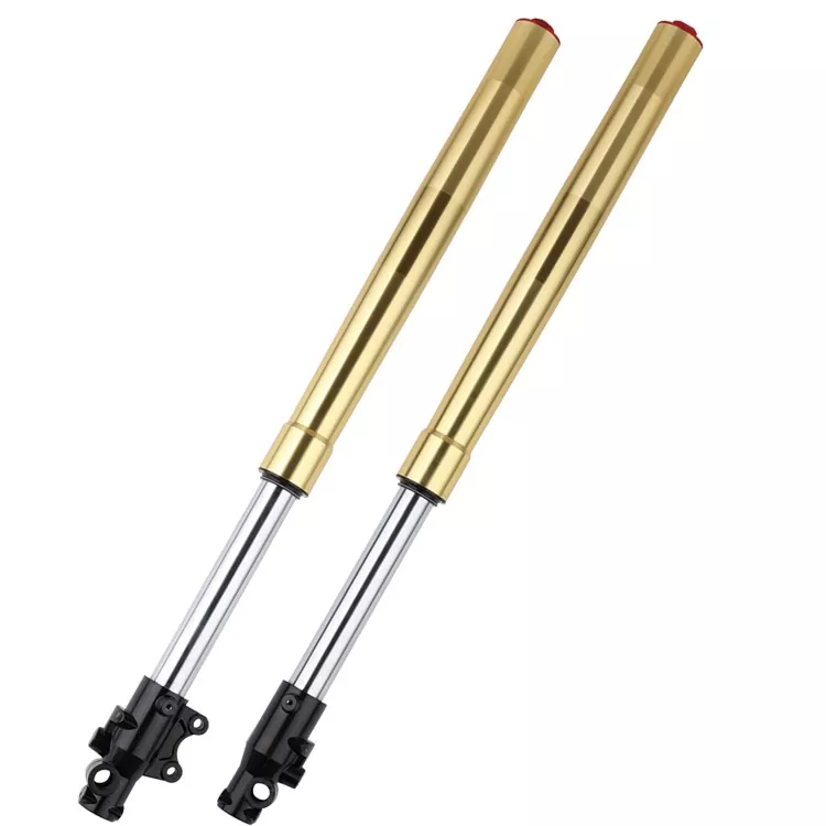 Come scegliere Fork anteriore non aggiustabile rispetto alla forcella anteriore bloccabile?